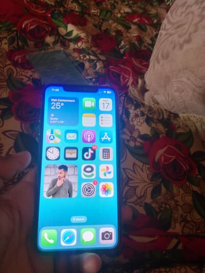 Apple iPhone XS Max