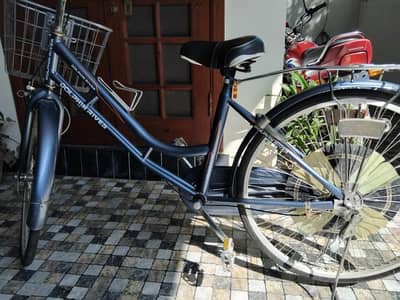 Brand New Dolphin River Bicycle