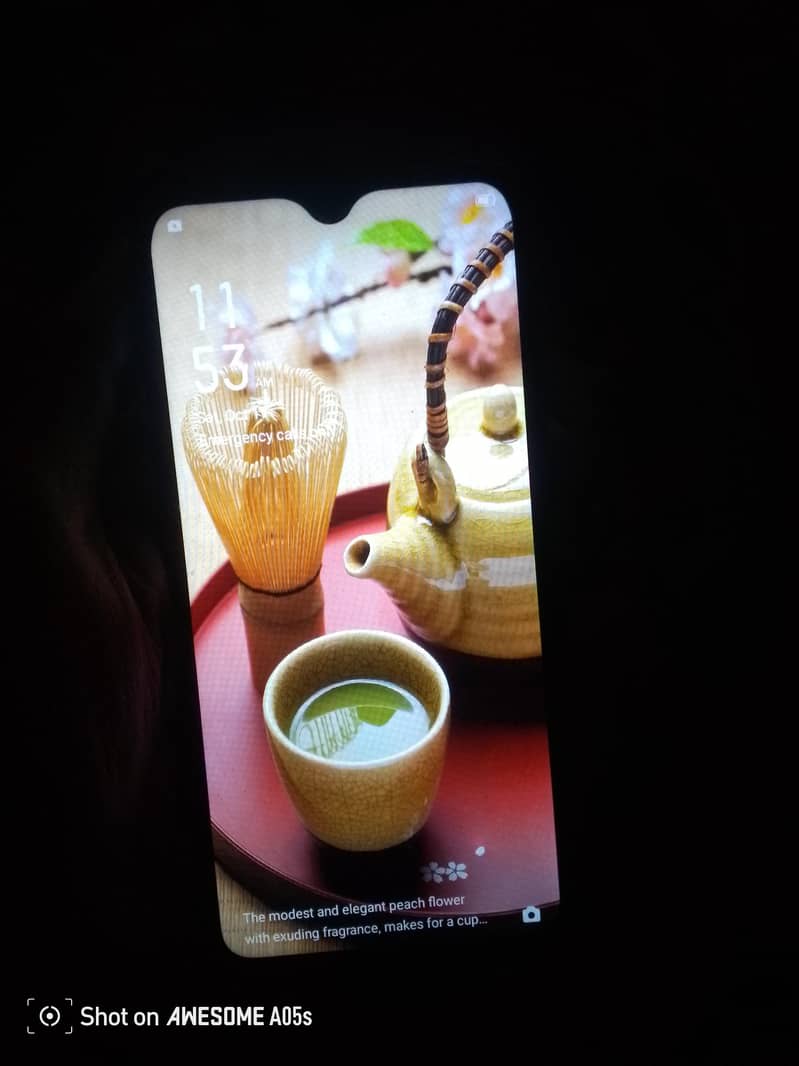 OPPO Other Model 2