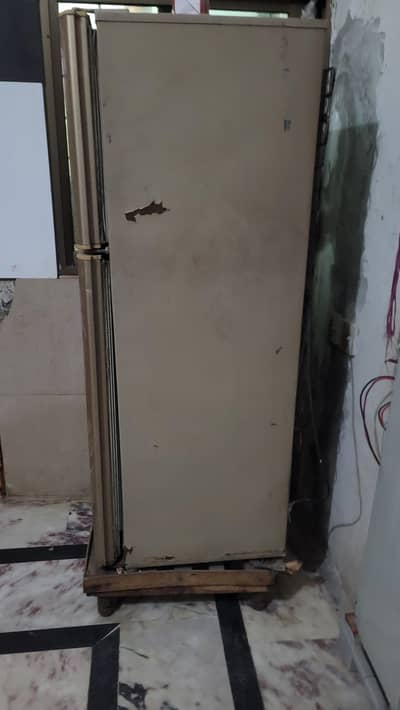 Pel Refrigerators medium size