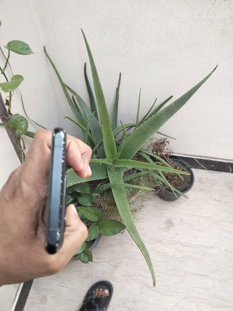 One Plus 10 Pro 3