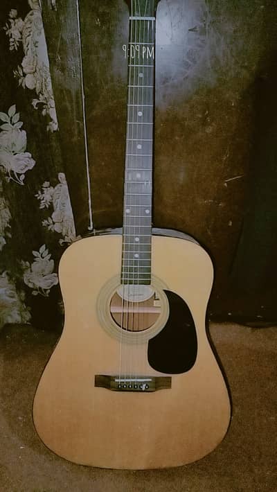 Epiphone DR90-NA series T06060900