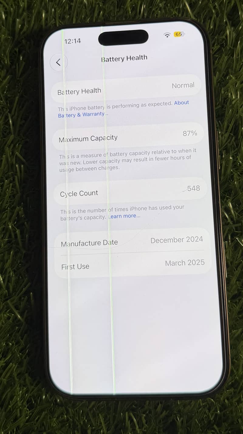 Apple iPhone 16 Pro 1