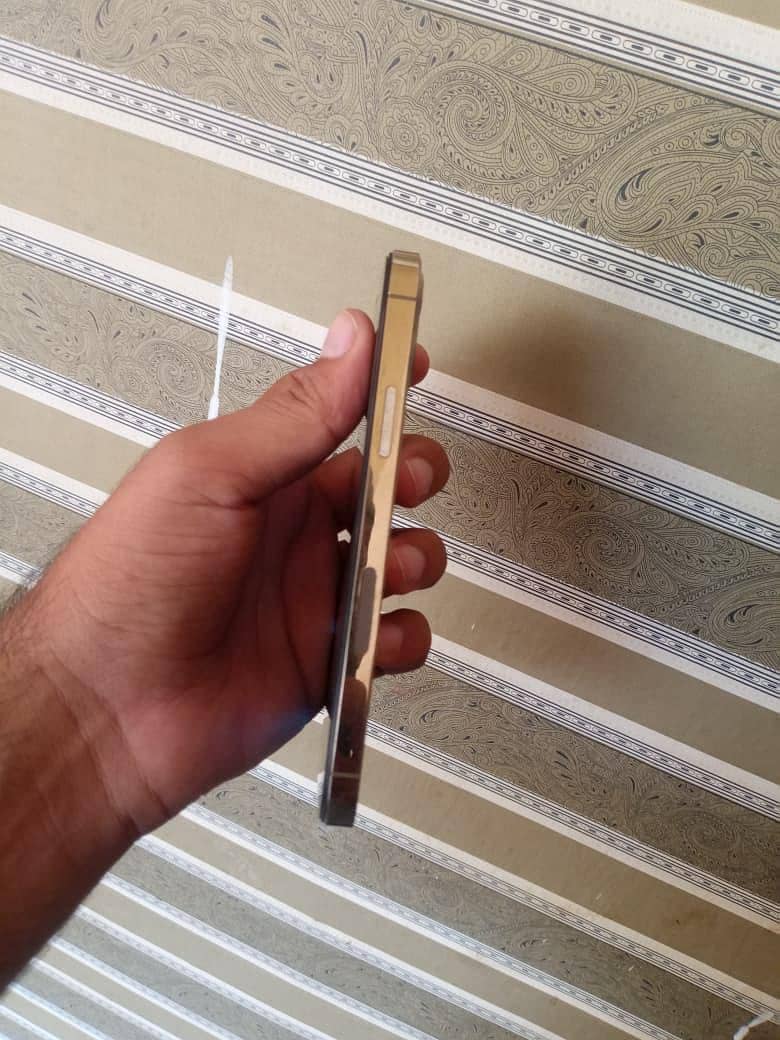 Apple iPhone 12 Pro 1