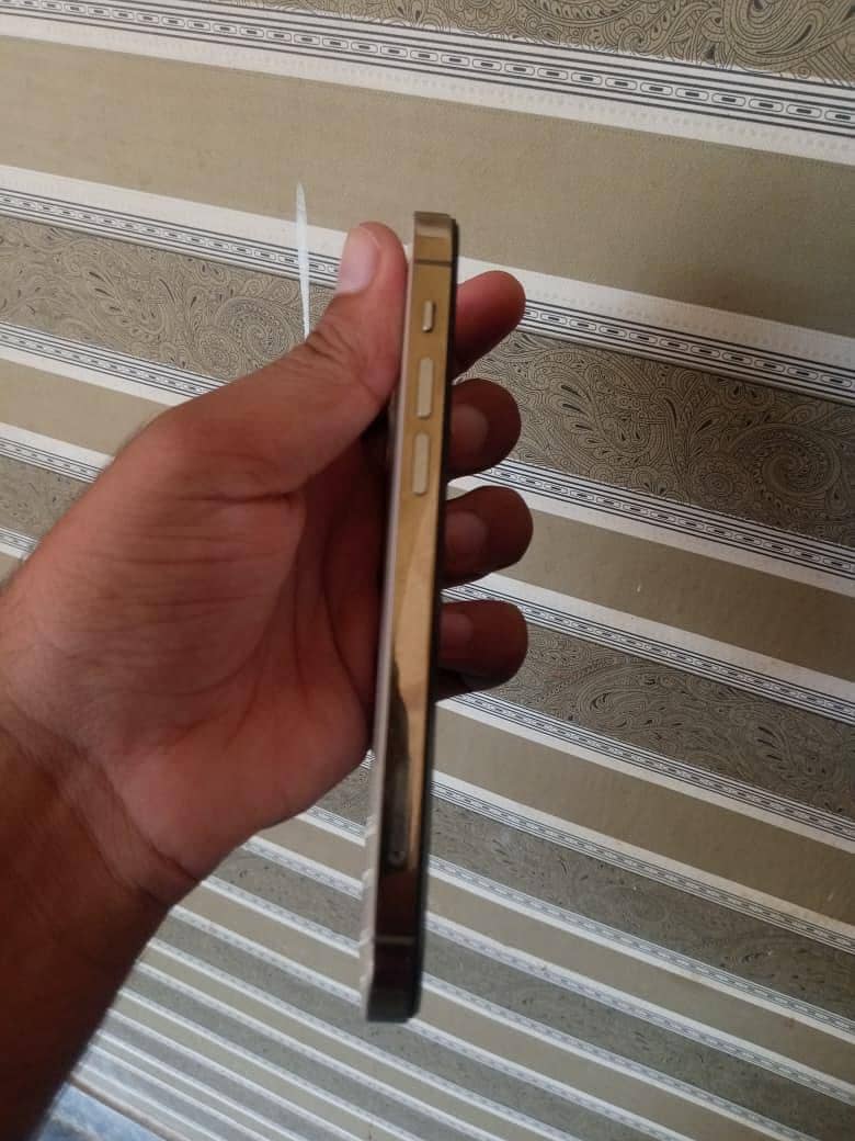 Apple iPhone 12 Pro 2