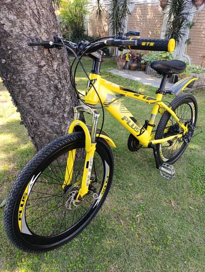 PLUS 24 Inch Mountain Bike