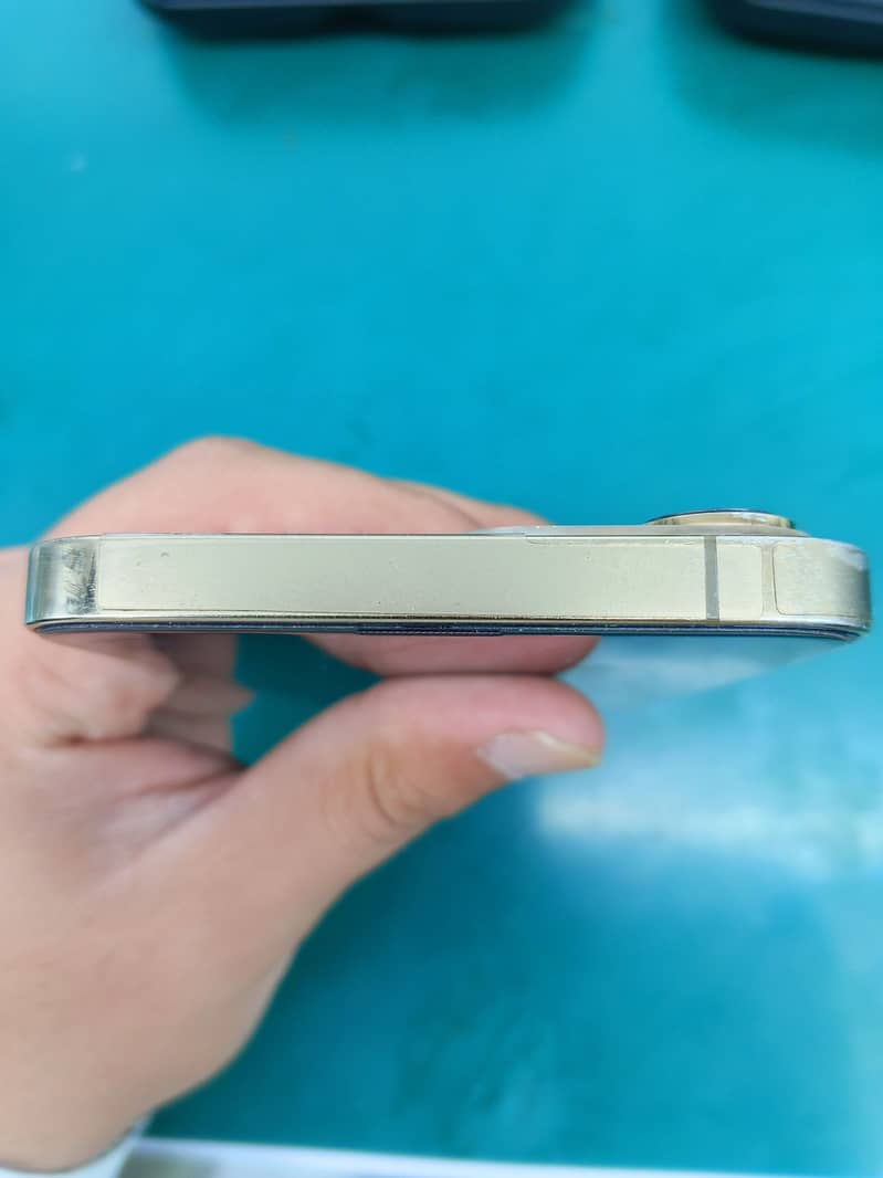Apple iPhone 13 Pro Max 1