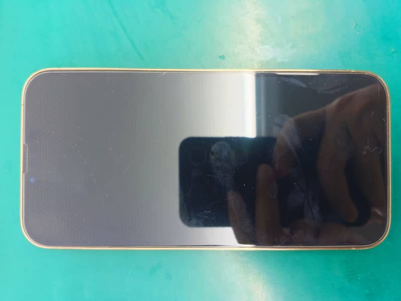 Apple iPhone 13 Pro Max 2