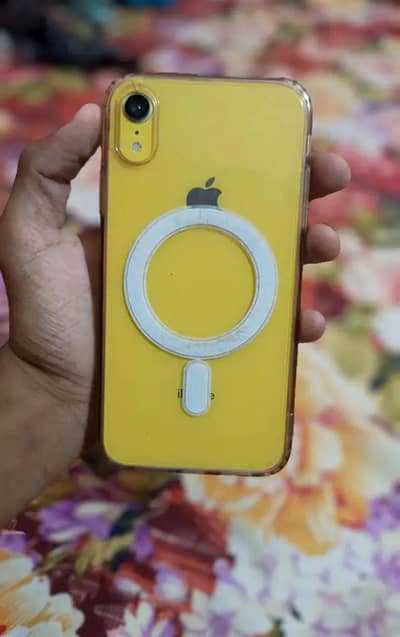 Apple iPhone XR (Only Exchange)