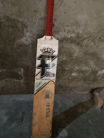 cricket bat