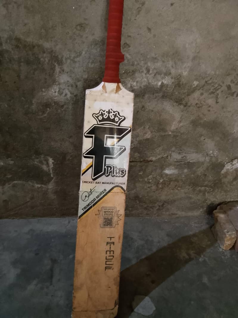 cricket bat 0