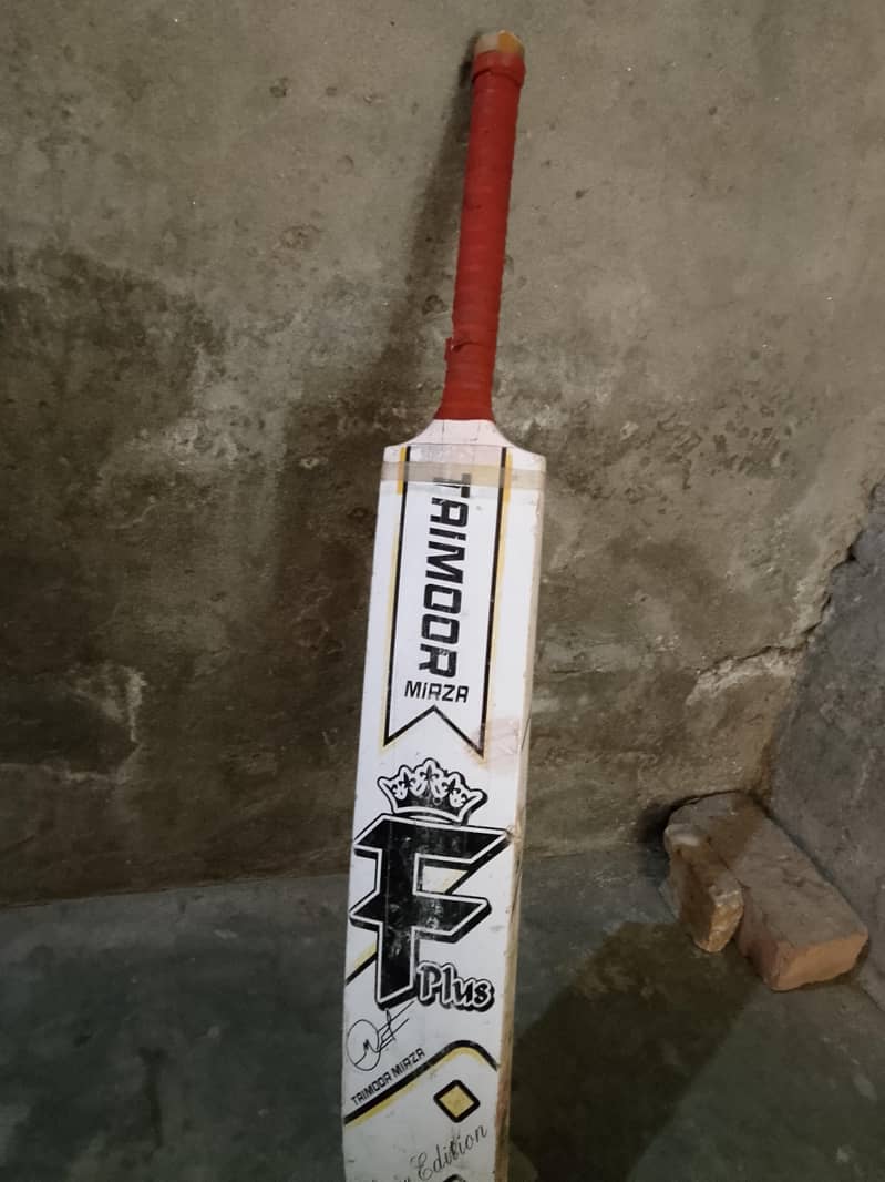 cricket bat 1