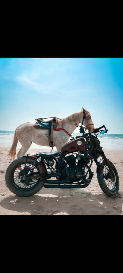 Yamaha virago 250 zipster