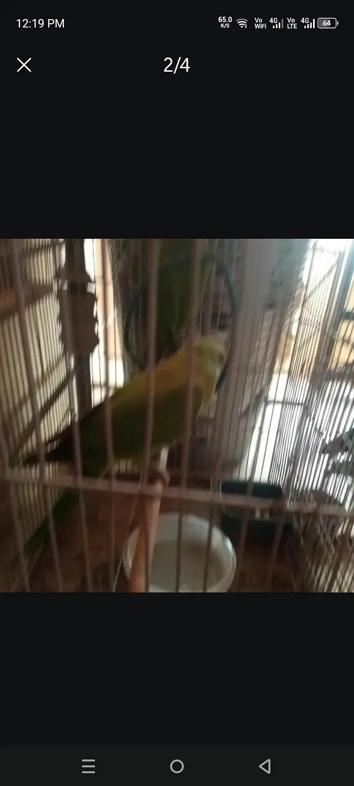 good for breeding season — photo 2