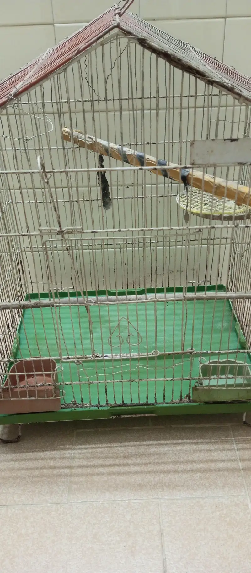 Good Condition Birds Cauge For Sale — photo 2