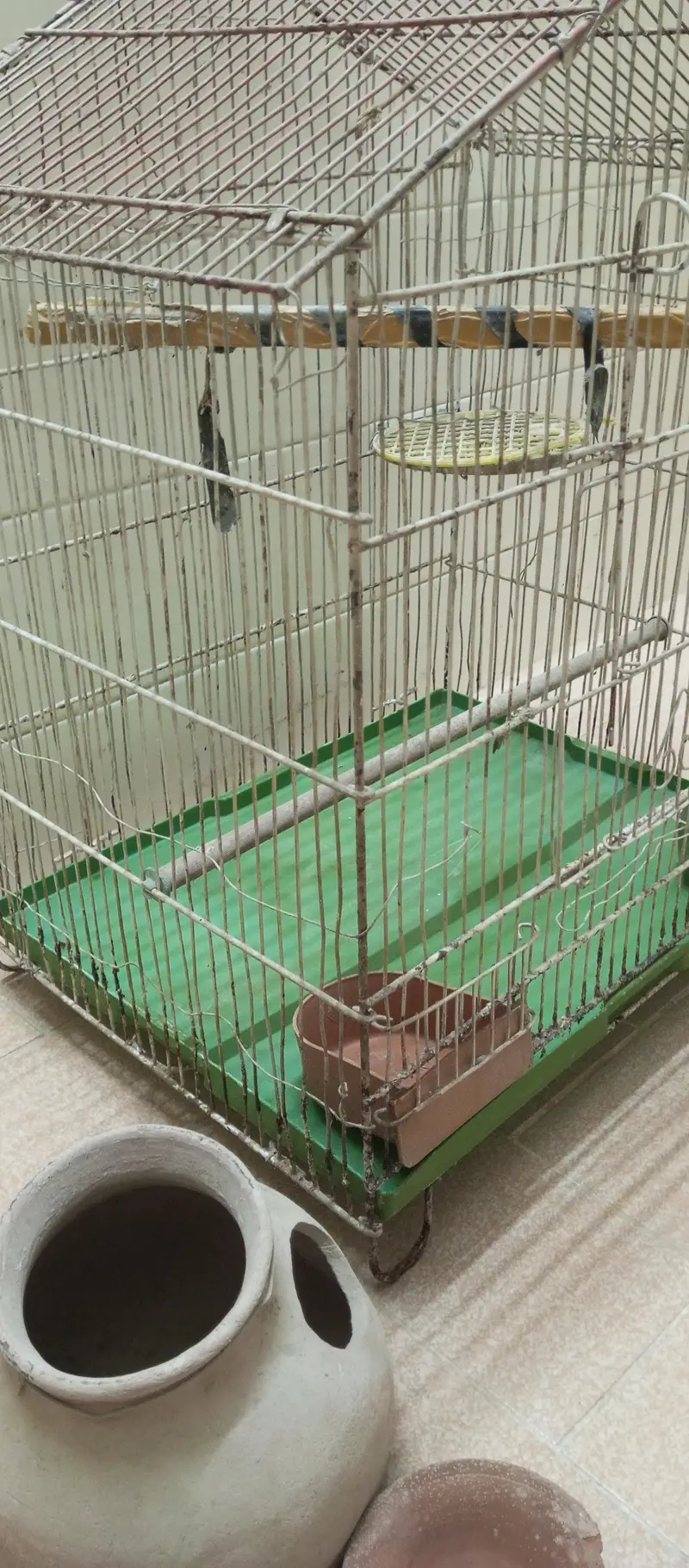 Good Condition Birds Cauge For Sale — photo 4