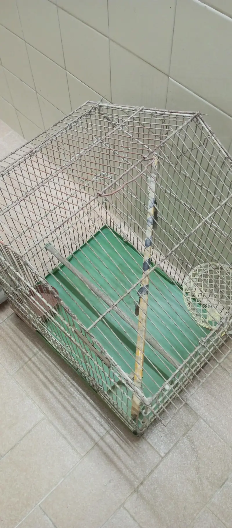 Good Condition Birds Cauge For Sale — photo 5