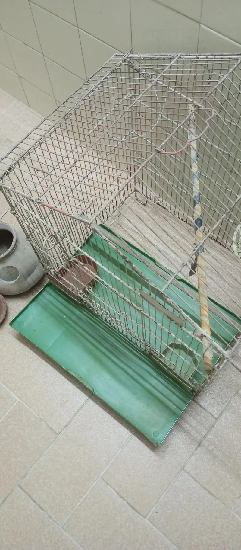 Good Condition Birds Cauge For Sale — photo 6