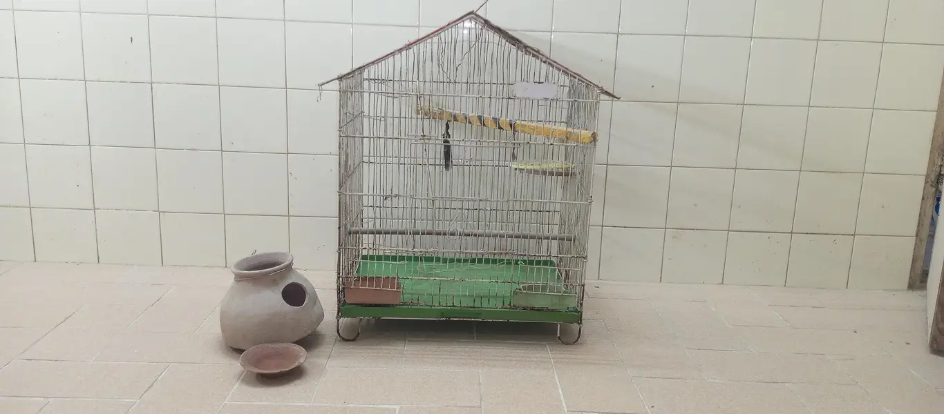 Good Condition Birds Cauge For Sale — photo 10