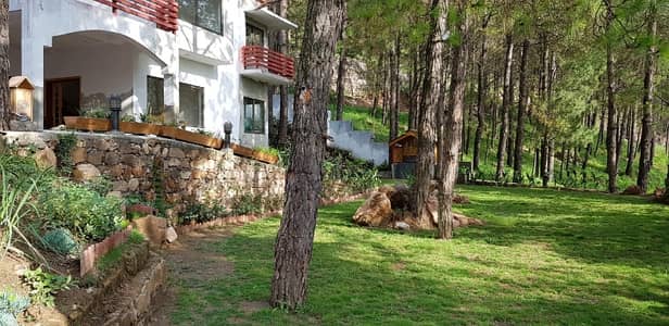 Premium 57 Marla Property with Two Separate Houses for Sale near Mansehra Road