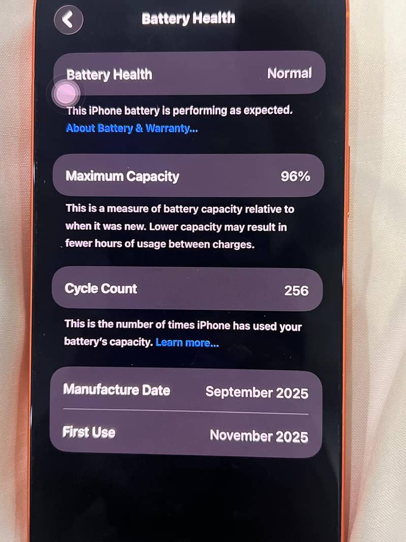 Apple iPhone 17 Pro Max 0