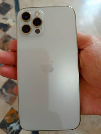 Apple iPhone 12 Pro