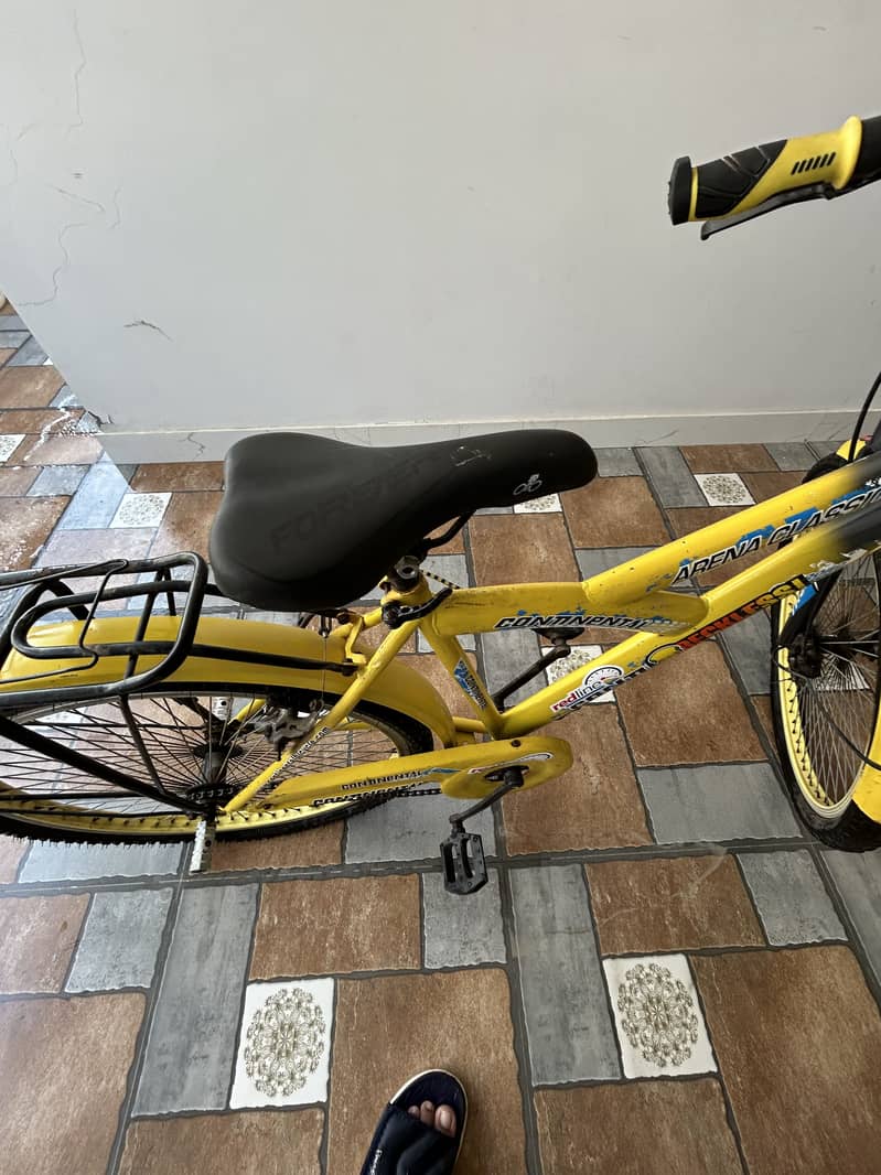 Cycle 4