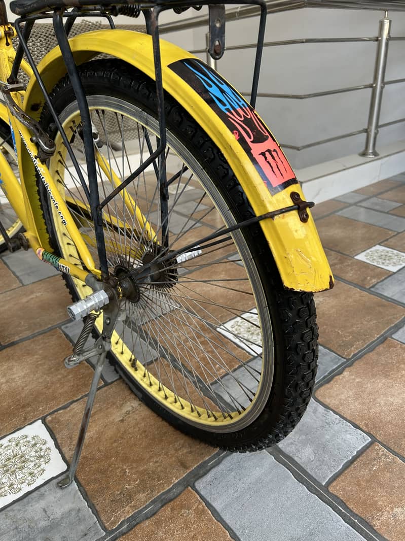 Cycle 5