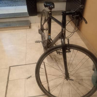 bridge stone rode bike