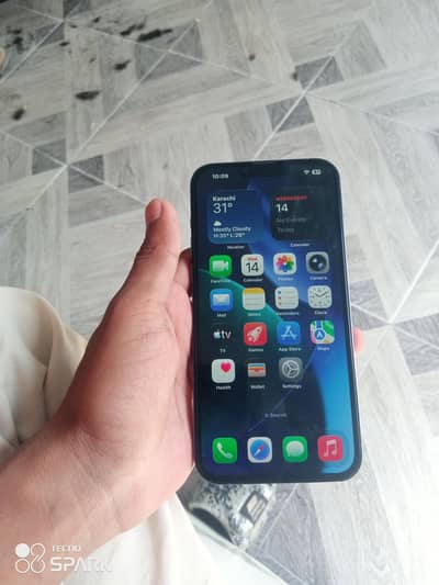 Apple iPhone 13 Pro Max