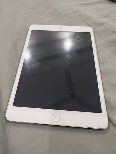 iPad mini 2