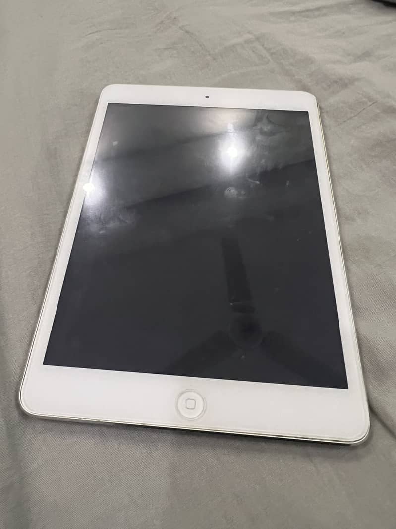 iPad mini 2 0