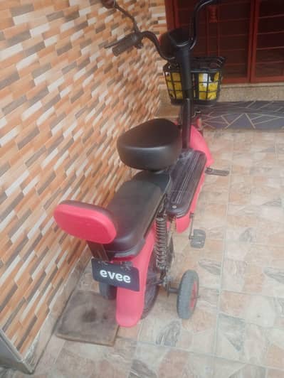 evee electric flipper
