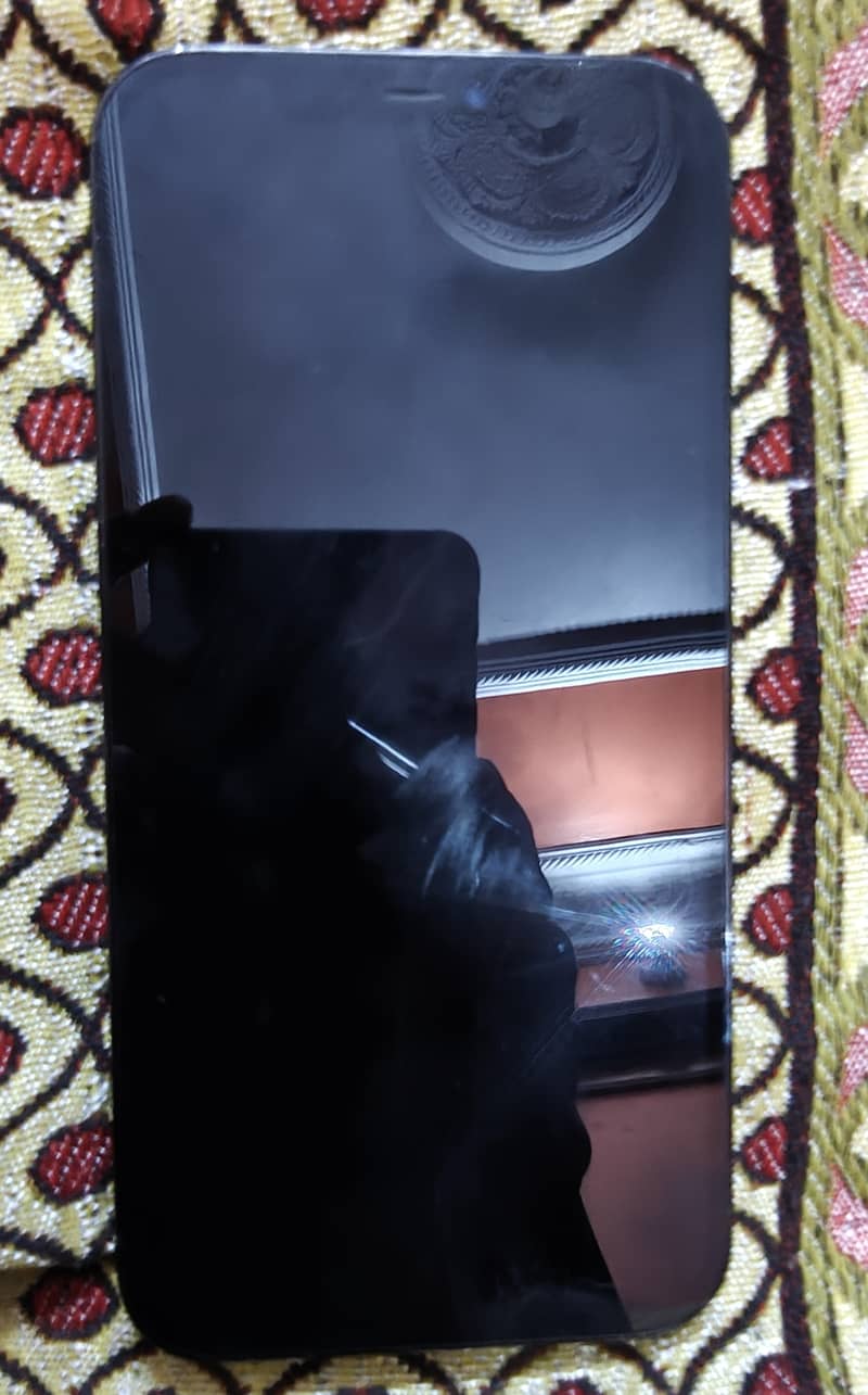 Apple iPhone 12 Pro Max 2