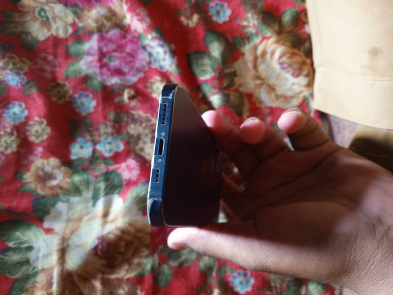 Apple iPhone 12 1