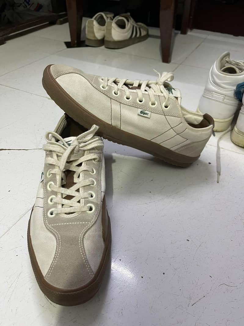 Masimmo Dutti 12