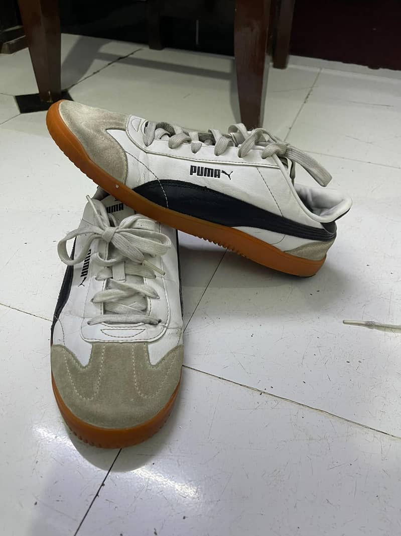 Masimmo Dutti 19