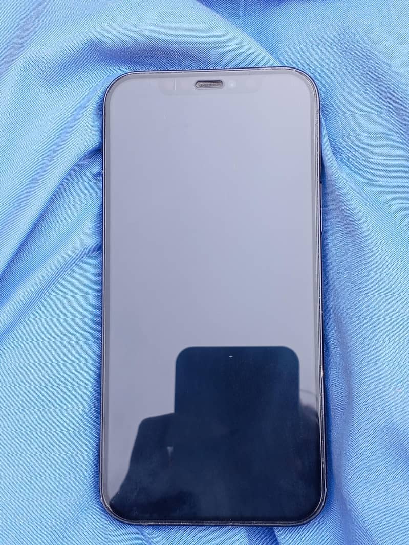 Apple iPhone 12 1