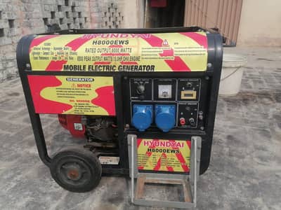 Portable Generator H8000EWS