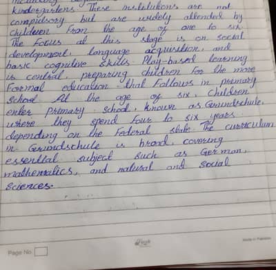 Online Assignment hand writing work for girls with pdf file