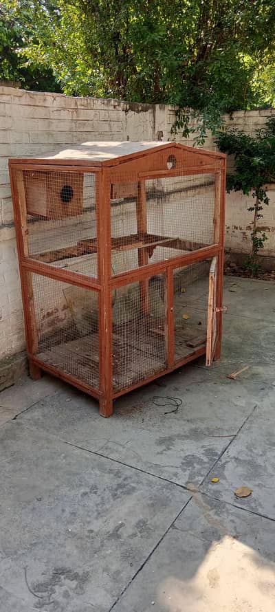 birds cage