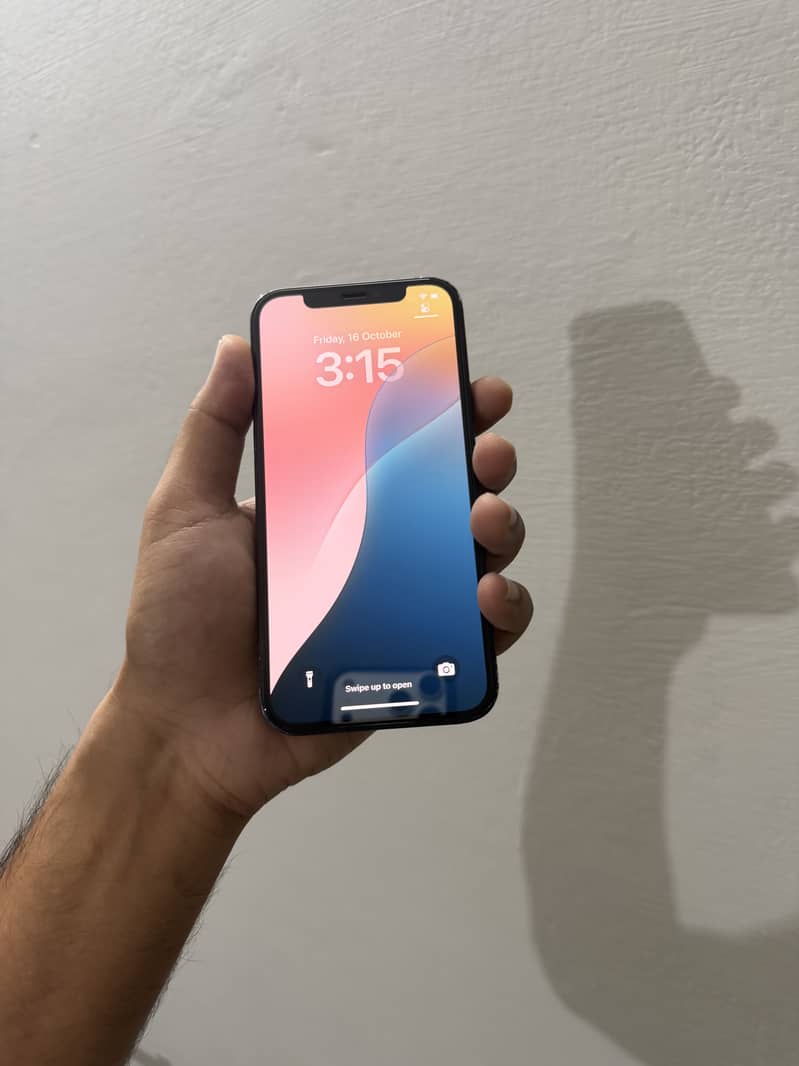 Apple iPhone 12 0