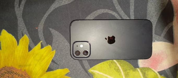 Apple iPhone 12. . jv phone . 10/10 all ok water pack . . 64gb