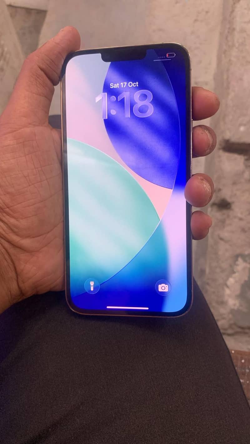 Apple iPhone 13 Pro Max 1