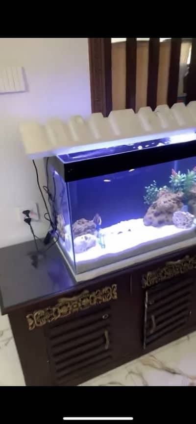 Aquarium For Sale