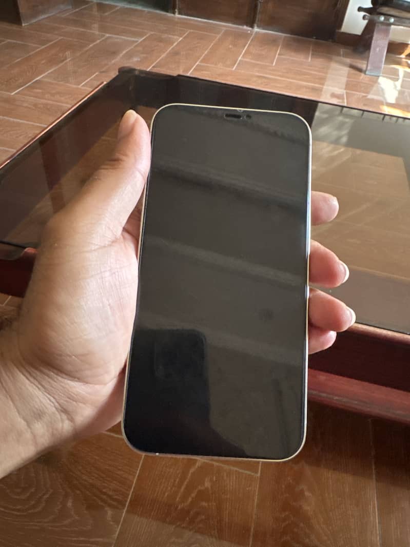 Apple iPhone 12 Pro Max 1