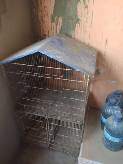 birds and parrot cage