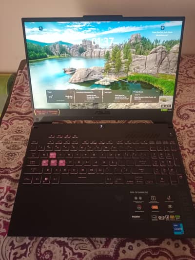 Asus TUF F15 FX507VI Gaming Laptop