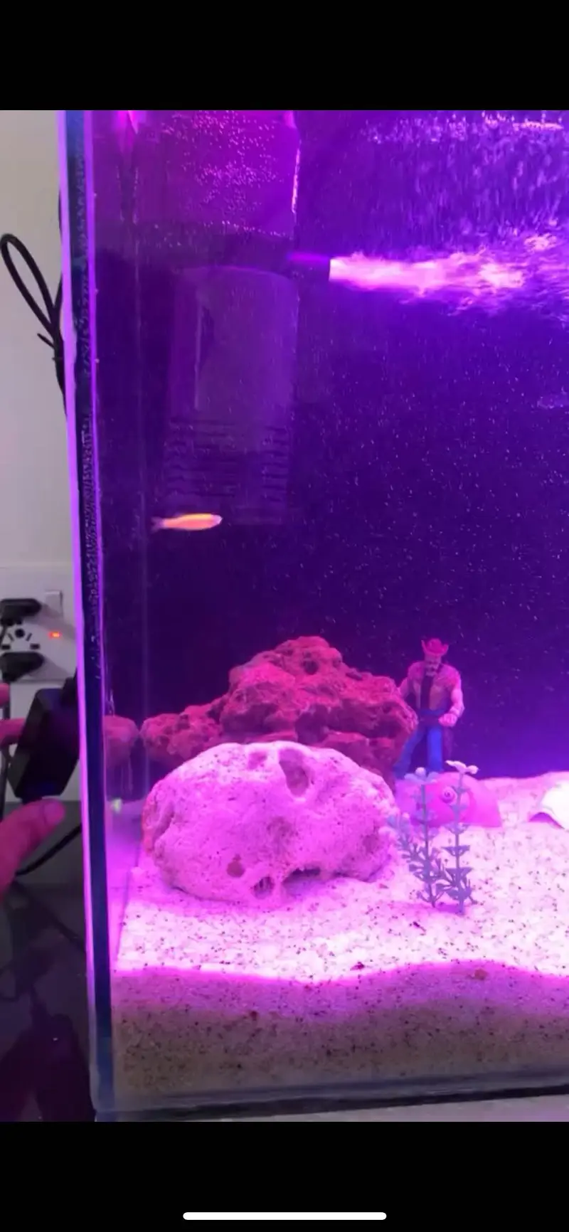 Aquarium For Sale — photo 4
