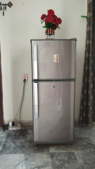 Frige contact (03195656801)